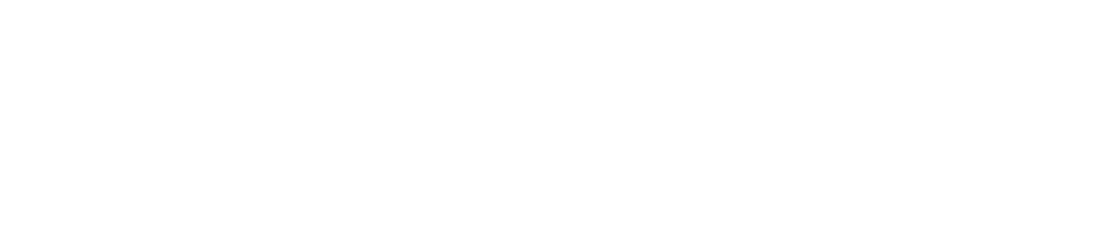 Prestige Iron Doors & Glazing